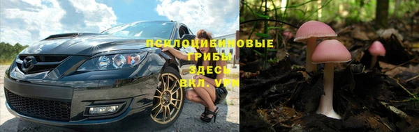 стаф Медвежьегорск
