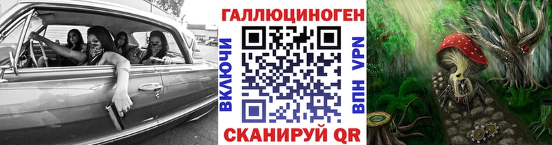 omg как зайти  Нерчинск  Псилоцибиновые грибы Cubensis 